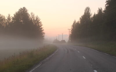 Palkanlaskenta ja hankintalain muutos – mitä kannattaa tehdä nyt?